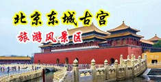 大鸡吧操逼免费视频中国北京-东城古宫旅游风景区